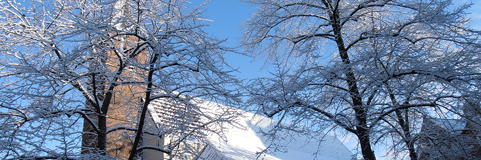 Front-page-Banner-13